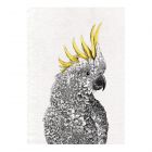 Maxwell & Williams Marini Ferlazzo Tea Towel - Sulphur-Crested Cockatoo