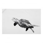 Maxwell & Williams Marini Ferlazzo Tea Towel - Turtle